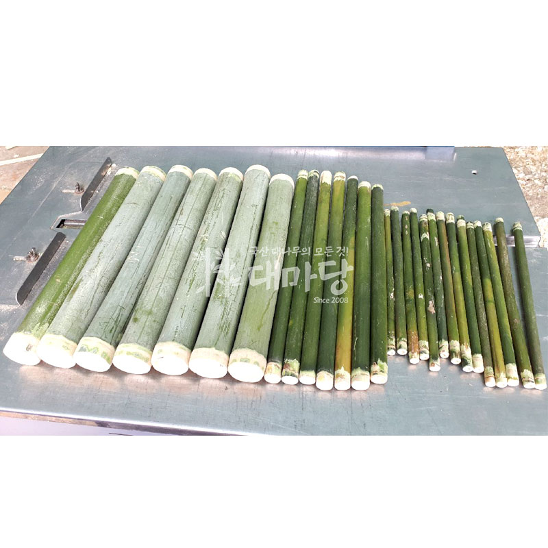 시원 뱀부 마사지(통)