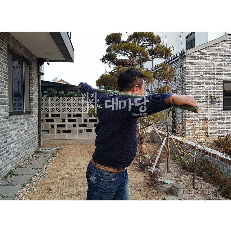 대나무스트레칭